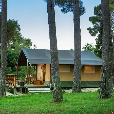 Glamping Tent Bor *